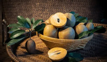 chicozapote fruta ancestral