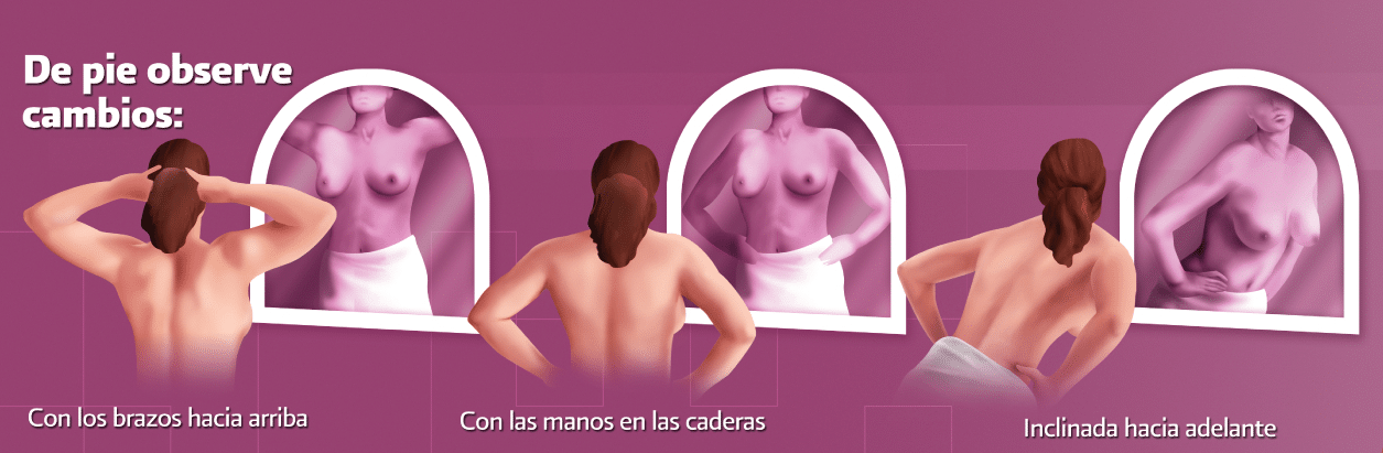  listón rosa cáncer de mama | gobierno de México SSA