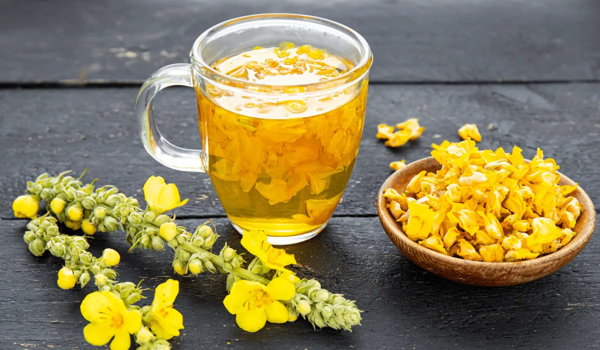 3 beneficios del té de gordolobo