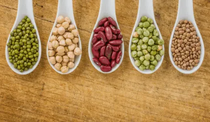 ¿Qué son los antinutrientes y qué efecto tienen?