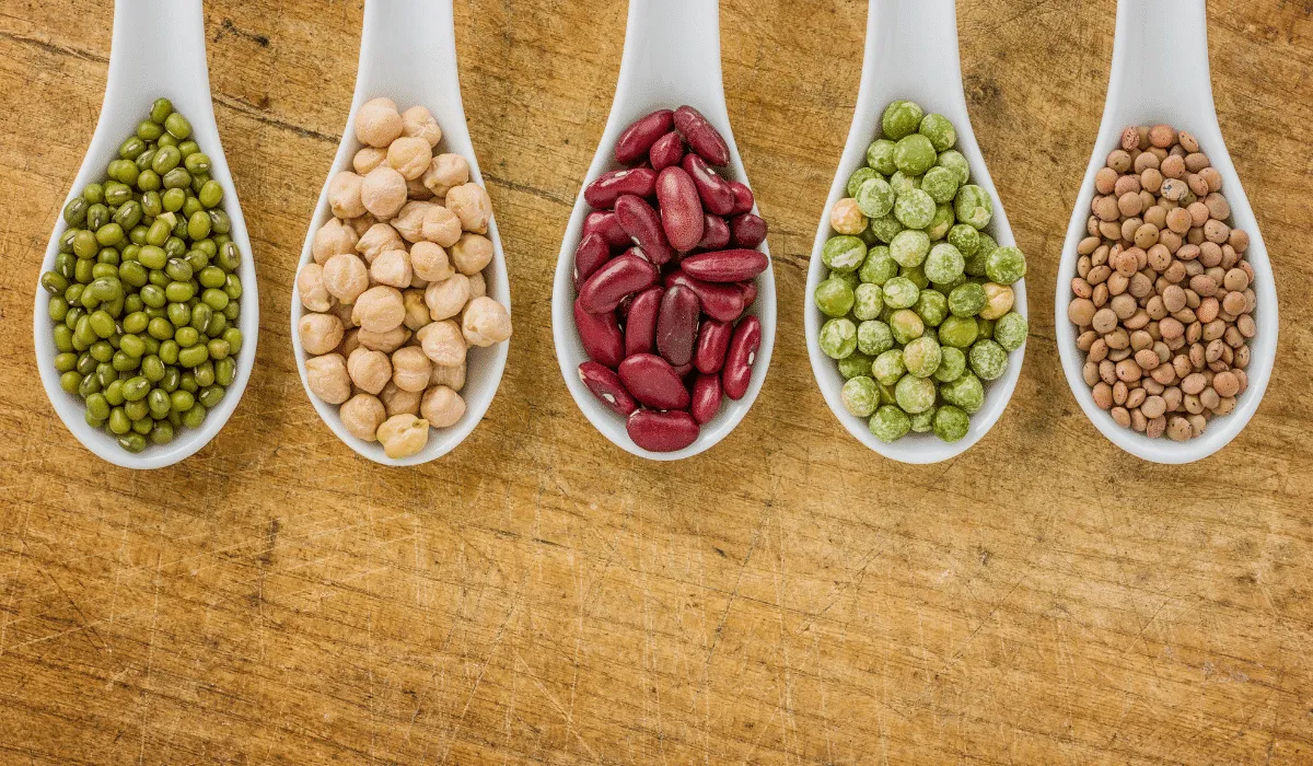 ¿Qué son los antinutrientes y qué efecto tienen?