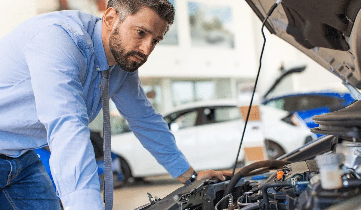 automóvil viaje carretera