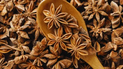 Beneficios del anís estrella para tu salud