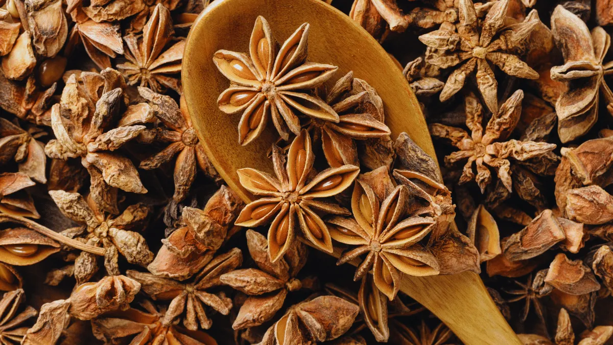 Beneficios del anís estrella para tu salud