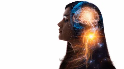 Conoce los 3 cerebros del ser humano