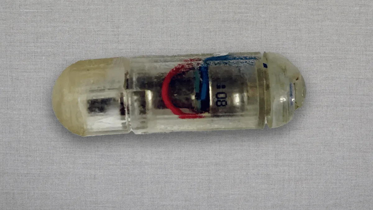 Crean cápsula ingerible que te hace sentir lleno