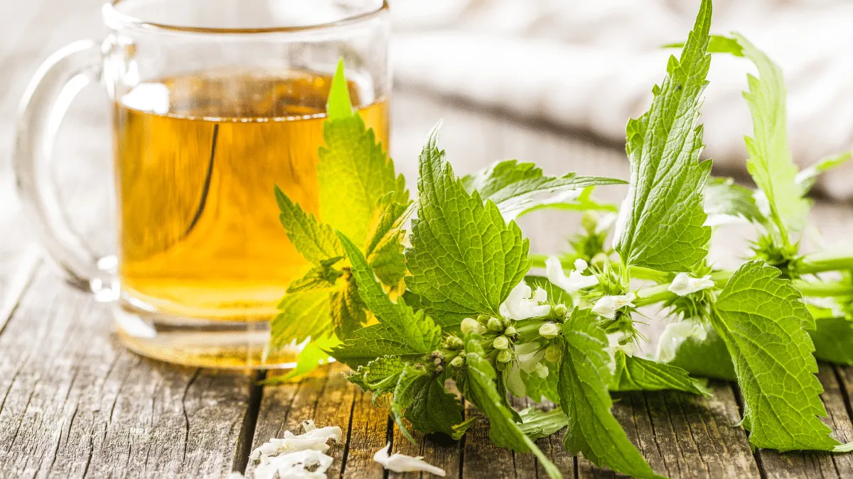 Infusiones una fuente natural de magnesio