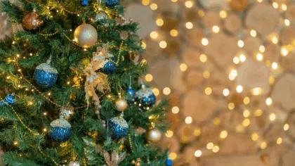 colocar el árbol de Navidad según el Feng Shui