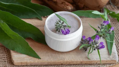 Esta es la planta que ayuda a cicatrizar las heridas/ consuelda suelda