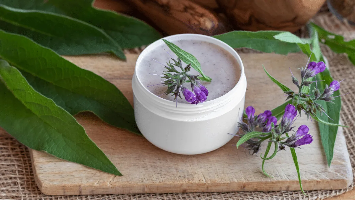 Esta es la planta que ayuda a cicatrizar las heridas/ consuelda suelda