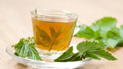 beneficios ortiga a tu cuerpo