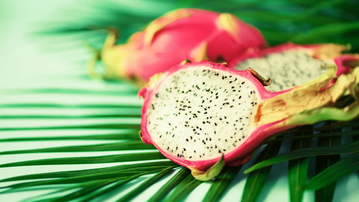 pitahaya o "fruta del dragón