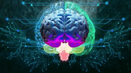 Cosas que quizá no sabías sobre tu cerebro