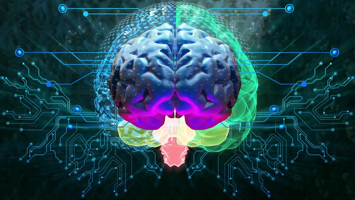 Cosas que quizá no sabías sobre tu cerebro