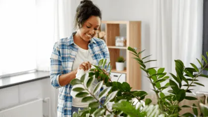 Cuidado de plantas de interior
