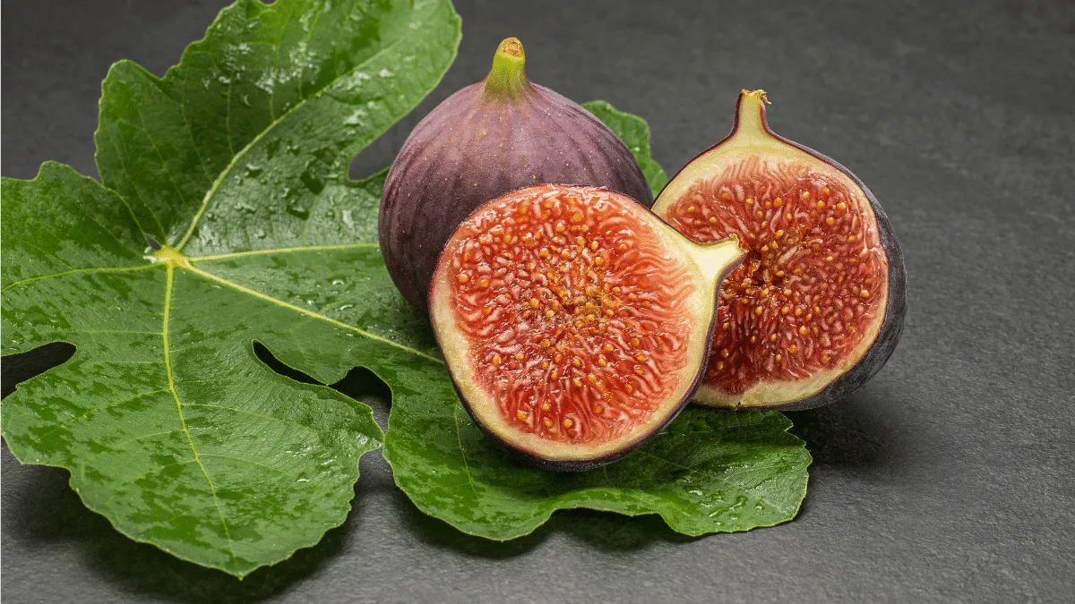 Curiosidades que quizá no sabías sobre el higo