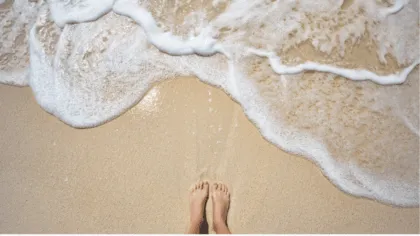 En el mar la vida es más sabrosa y más feliz