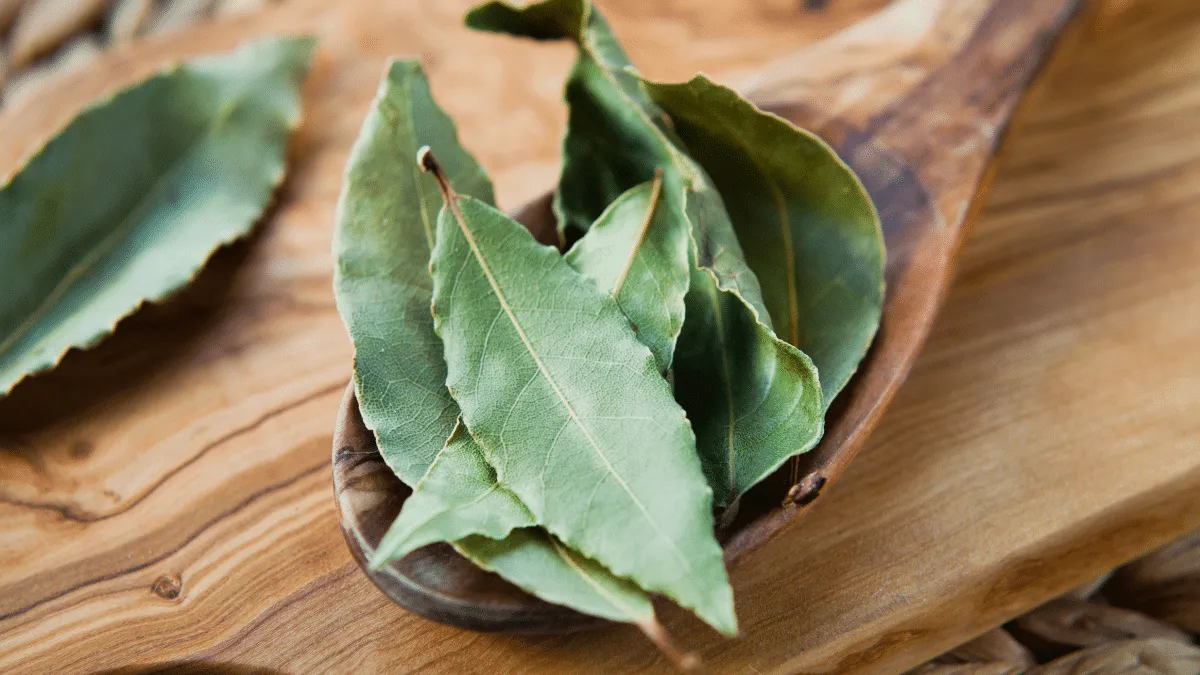 Hoja de laurel bajo la almohada