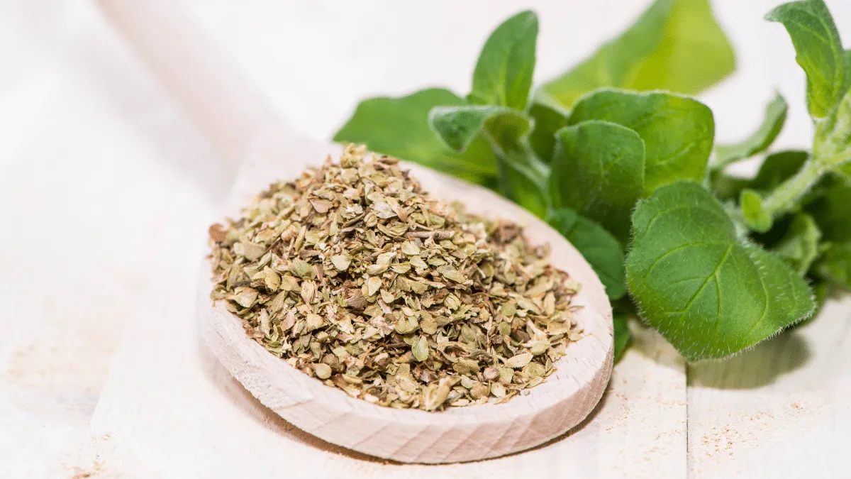 té de orégano