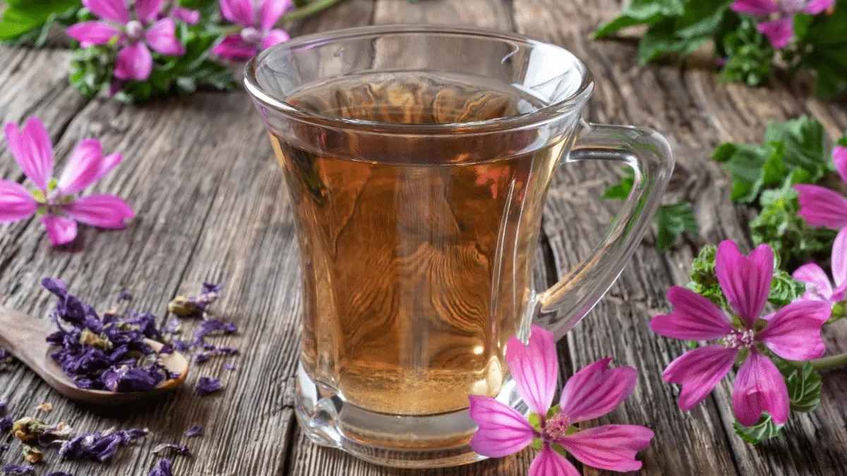 Alivia los síntomas de la colitis con estos tés