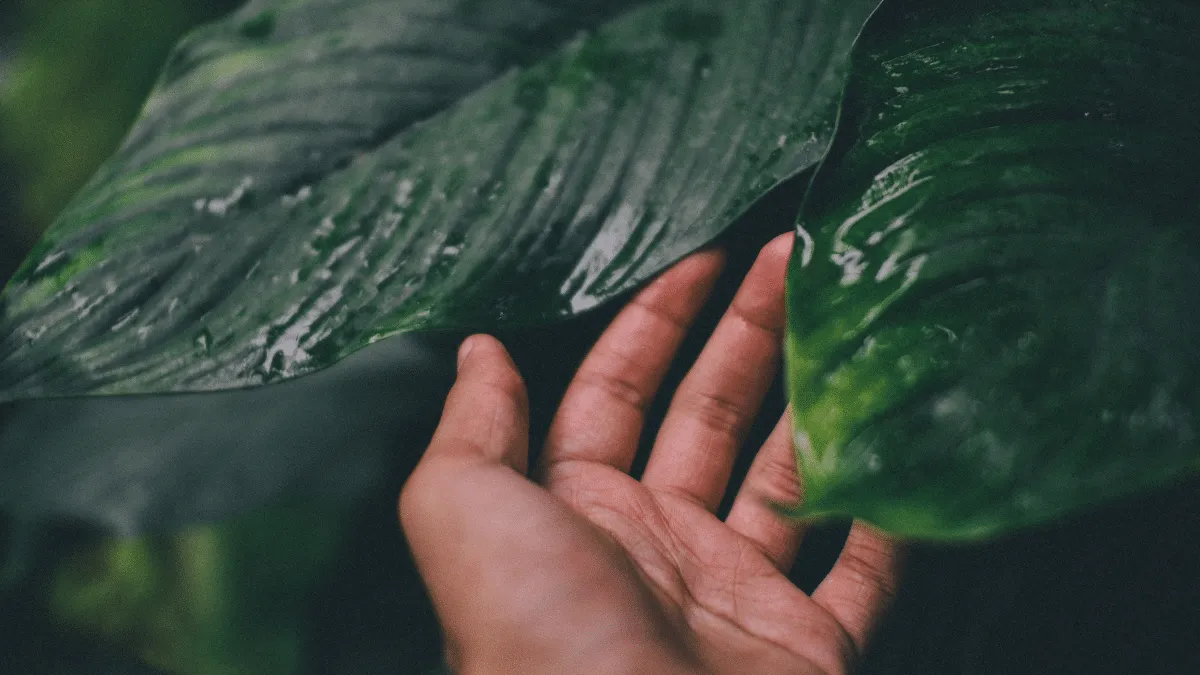 práctica inspirada en la naturaleza para tu crecimiento