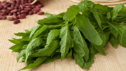 El epazote Una poderosa hierba medicinal