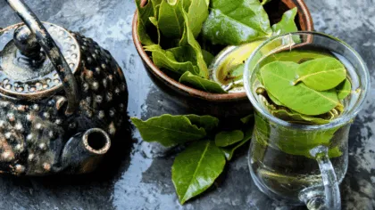 El laurel un aliado en la cocina y para tu salud