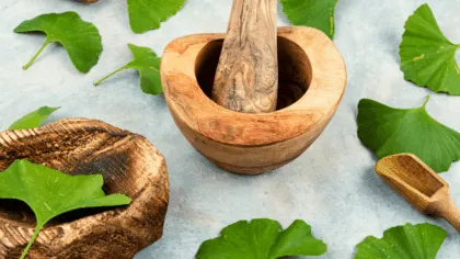 Ginkgo Biloba Un aliado para la salud