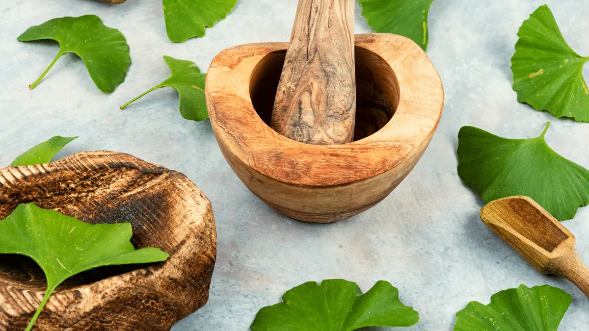 Ginkgo Biloba Un aliado para la salud