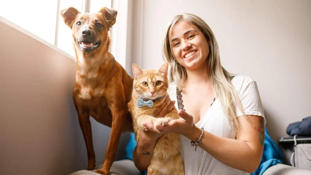 Protege a tus mascotas de pulgas y garrapatas