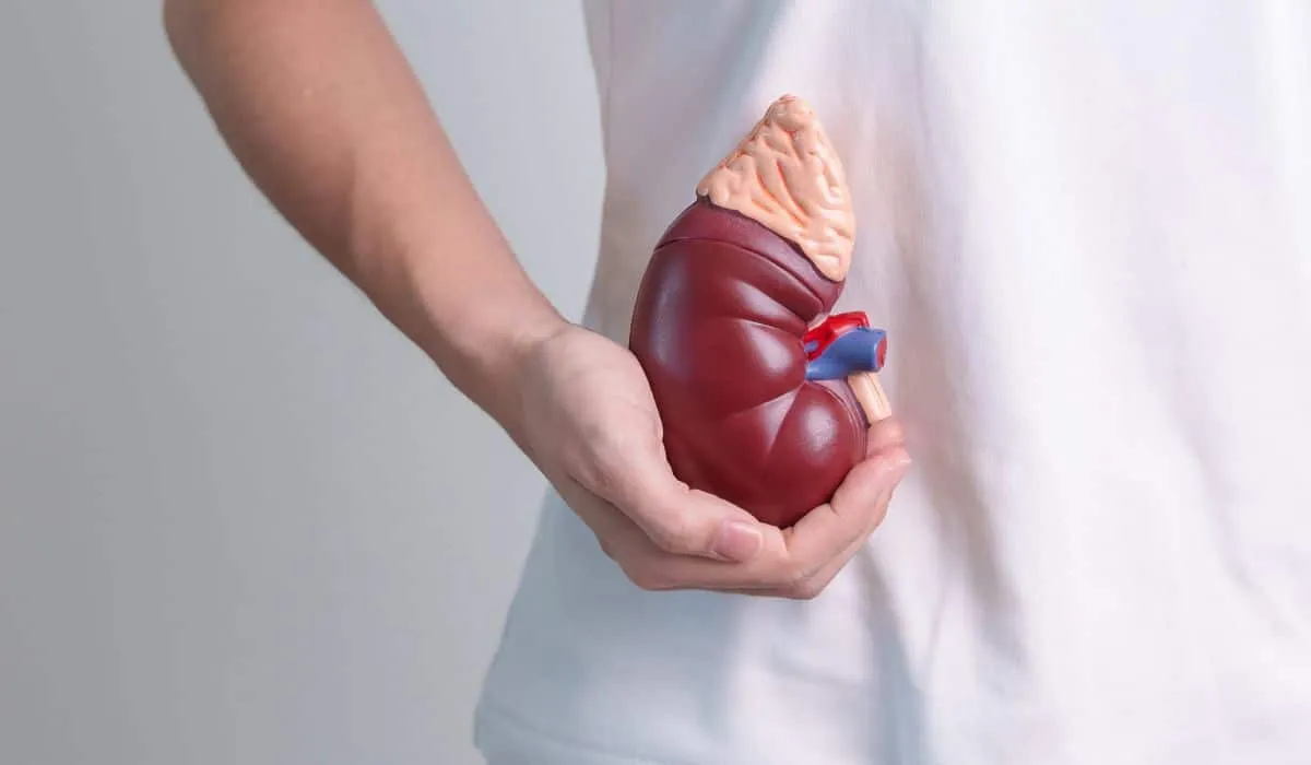 Día Mundial del Riñón