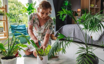 20 plantas que purificaran el aire en tu hogar