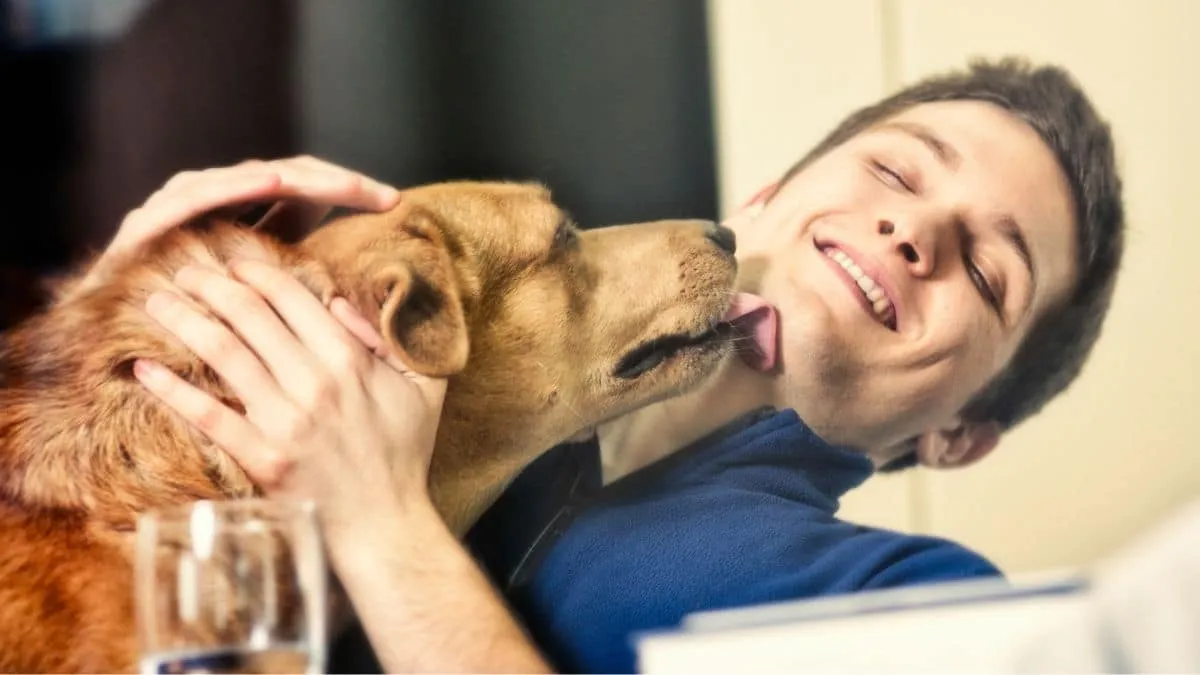 Combate el mal aliento de tu perro con estas soluciones