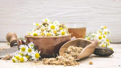 Manzanilla tu aliada para un vientre plano