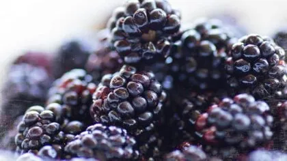 Quieres mejorar tu salud Come moras