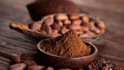 10 datos sobre el cacao un superalimento