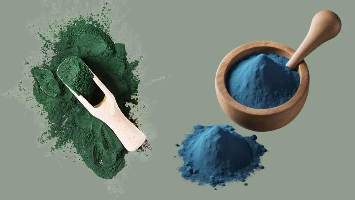 Espirulina verde o azul que diferencia tienen y cual es mejor