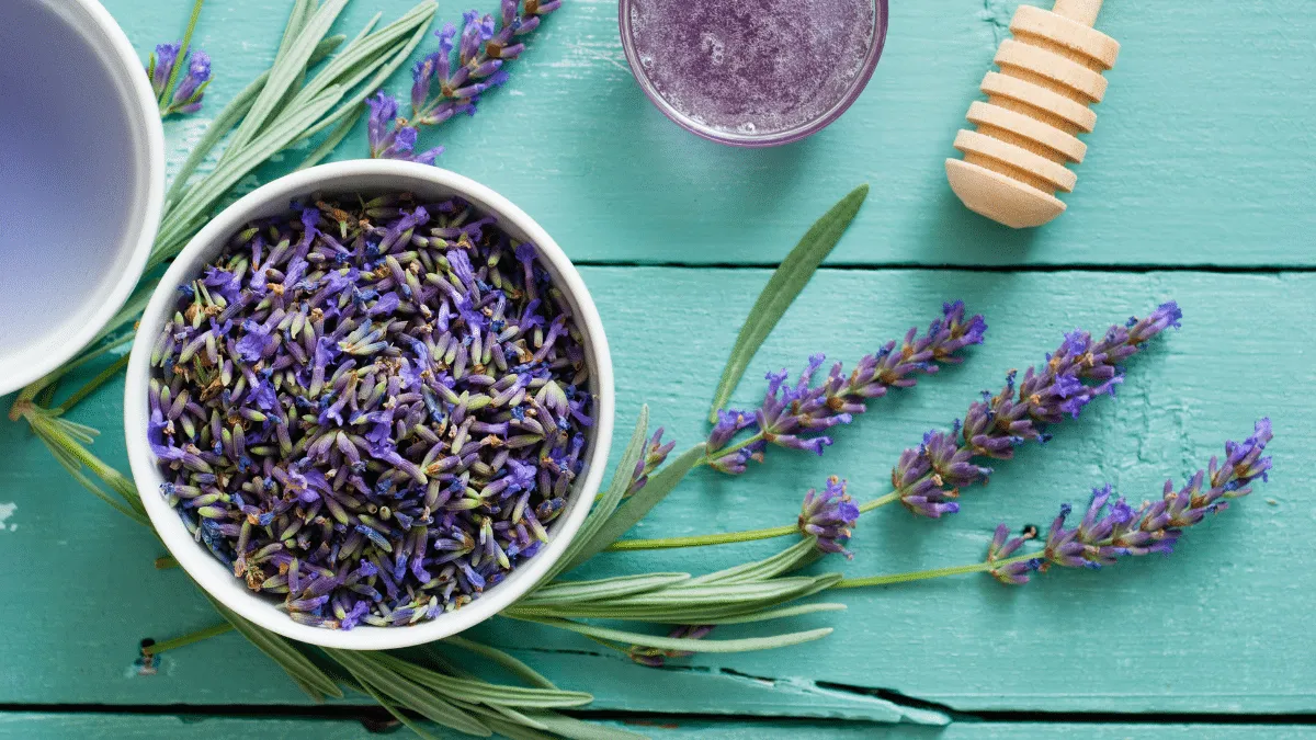 Te de lavanda para relajarse y dormir mejor