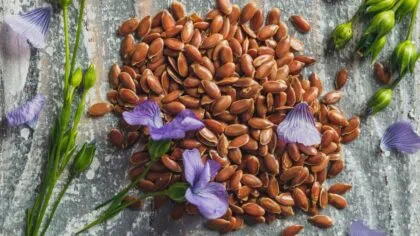 los beneficios de las semillas de lino