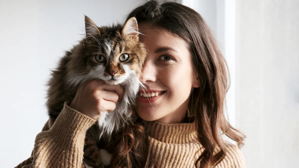 taurina gatos