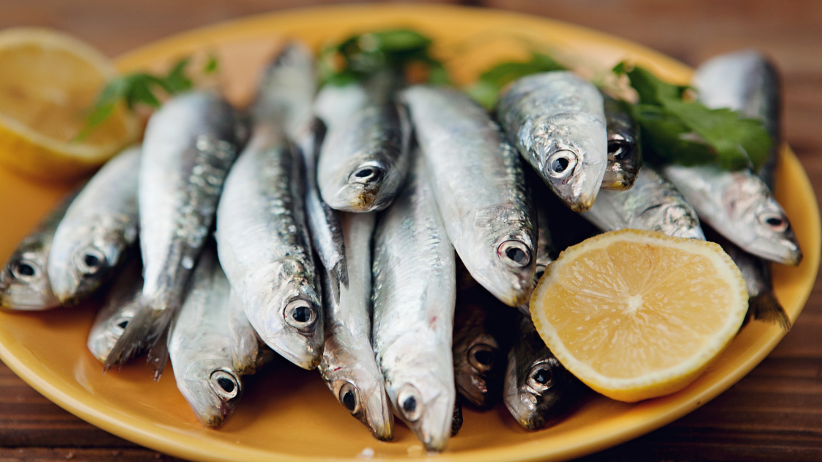 Los beneficios de comer sardinas