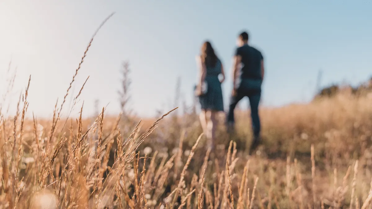 Que sucede cuando el sexo desaparece de una relacion