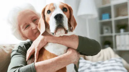 Un asilo en Japon para convivir con las mascotas