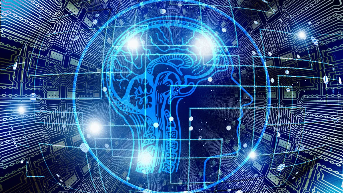 Datos que quizas no conocias del cerebro