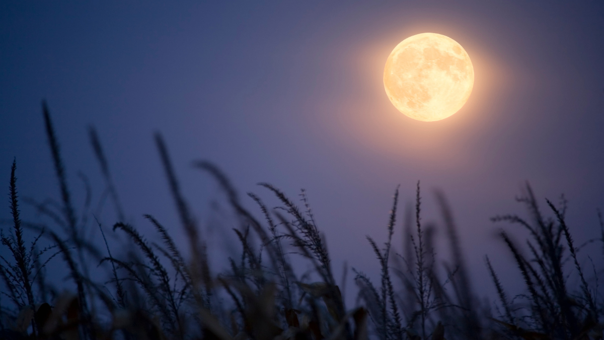 ¡No te pierdas la Superluna de cosecha y el eclipse lunar parcial!