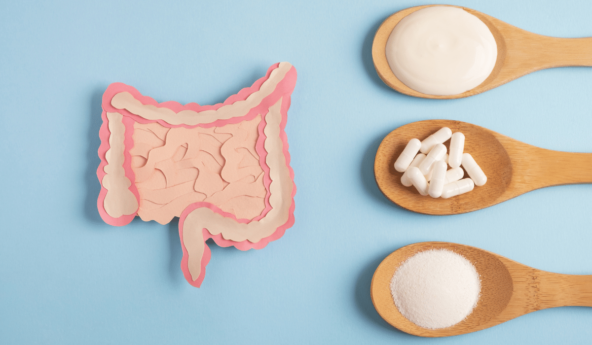 Prebióticos: Entendiendo su papel en la salud intestinal