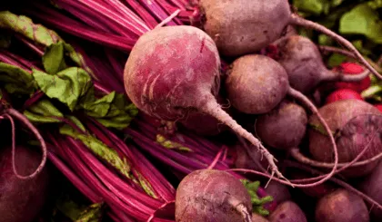 Increíbles beneficios de las hojas de betabel