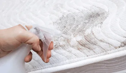 Manchas de pipí colchón