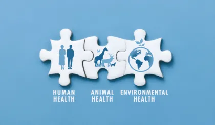 El enfoque One Health nos invita a ver más allá de nuestra propia especie y a reconocer que somos parte de un ecosistema interconectado.