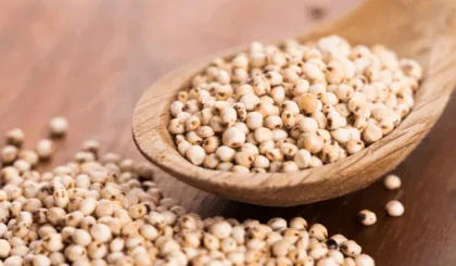 El sorgo es mucho más que un grano: es una fuente de proteínas, fibra y antioxidantes que además es amigable con el medio ambiente